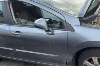 Mastervac PEUGEOT 308 1