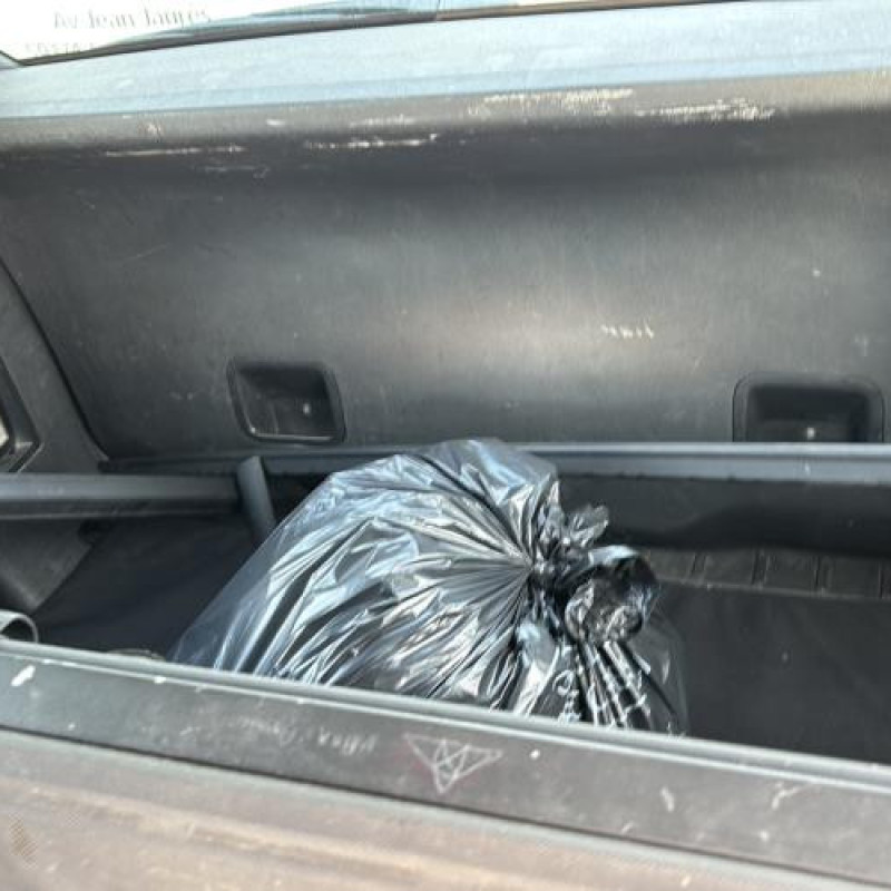 Feu arriere principal gauche (feux) CITROEN C4 GRAND PICASSO 1 Photo n°14