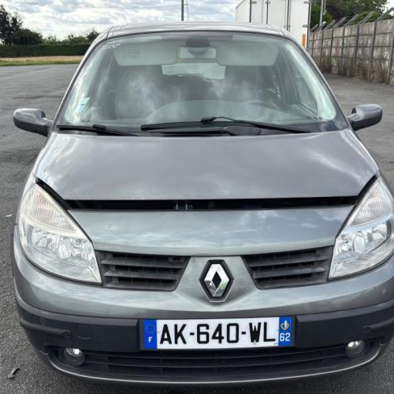 Retroviseur gauche RENAULT SCENIC 2 Photo n°13