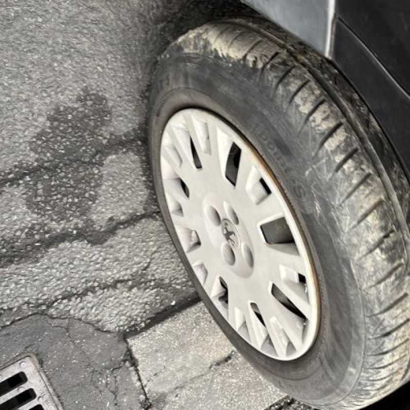 Amortisseur avant gauche PEUGEOT BIPPER Photo n°20