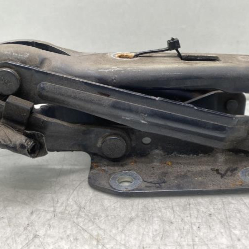 Charniere de capot VOLKSWAGEN EOS Photo n°1