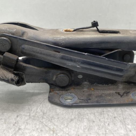 Charniere de capot VOLKSWAGEN EOS Photo n°1