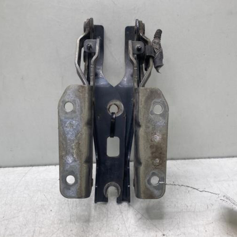 Charniere de capot VOLKSWAGEN EOS Photo n°4