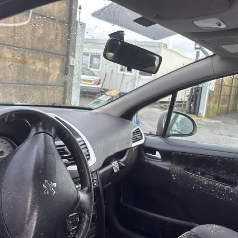 Cremaillere assistee PEUGEOT 207 Photo n°18