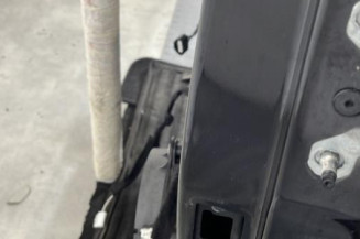 Porte arriere gauche RENAULT MEGANE 4