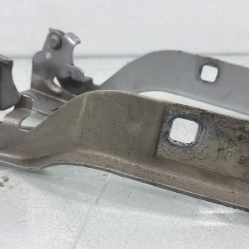 Charniere de capot CITROEN JUMPER 3 Photo n°1