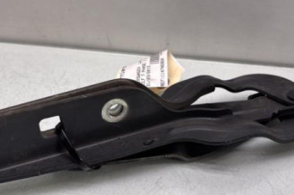 Charniere de capot VOLKSWAGEN GOLF 7 Photo n°1