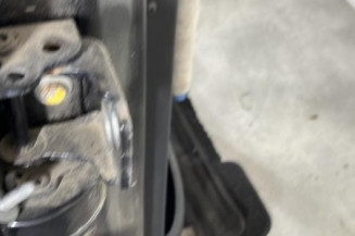 Porte arriere droit PEUGEOT 207