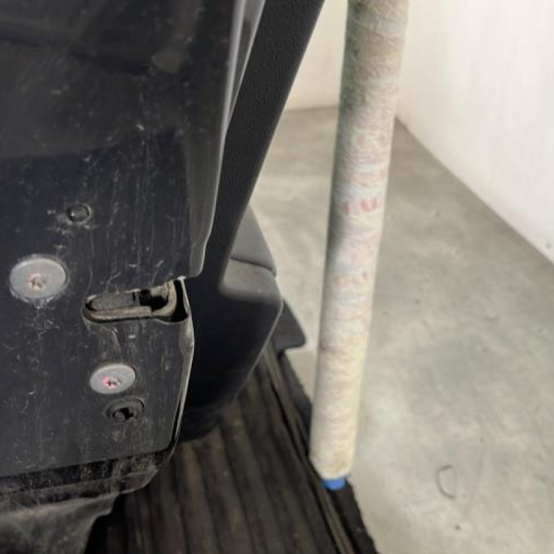 Porte arriere gauche PEUGEOT 207 Photo n°3