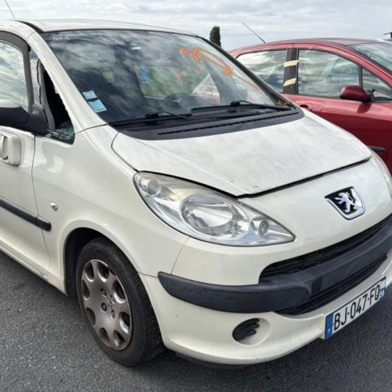 Poignee porte avant droit PEUGEOT 1007 Photo n°7