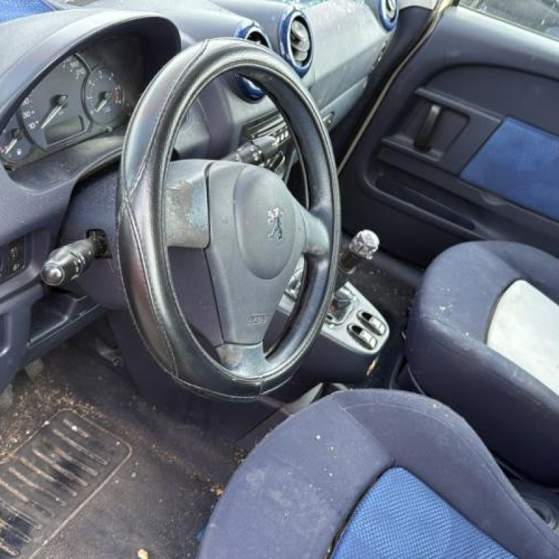 Poignee interieur avant gauche PEUGEOT 1007 Photo n°17