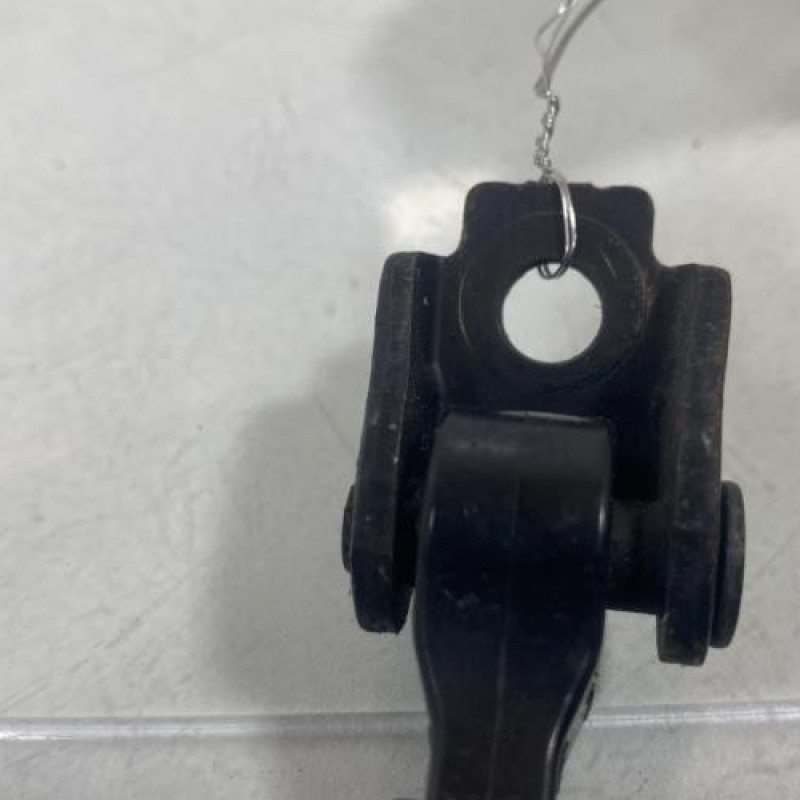 Arret de porte avant gauche RENAULT TWINGO 3 Photo n°5