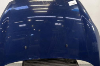 Capot FORD FIESTA 6 Photo n°1