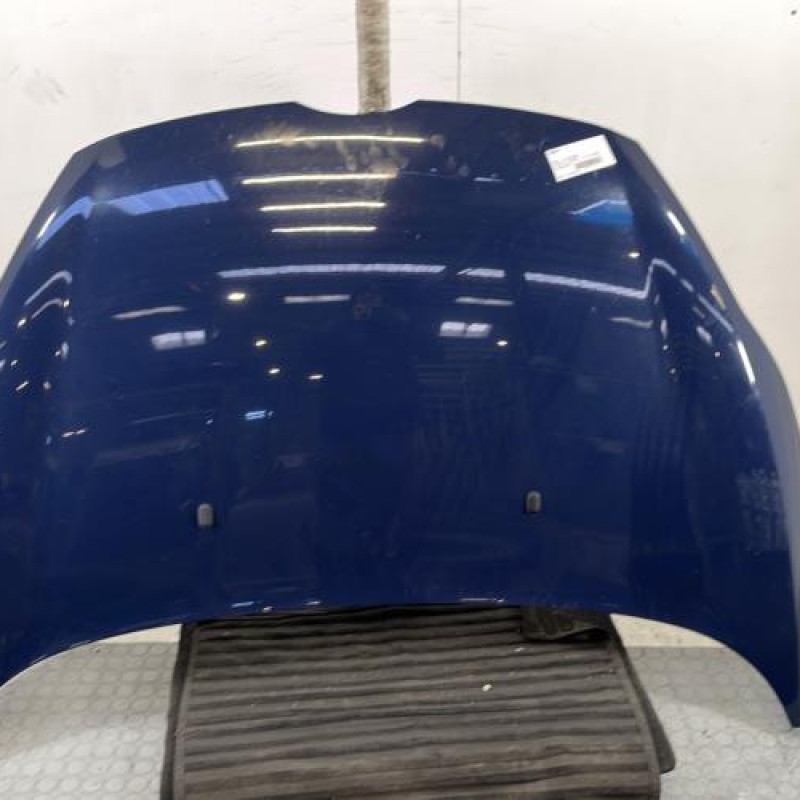 Capot FORD FIESTA 6 Photo n°1