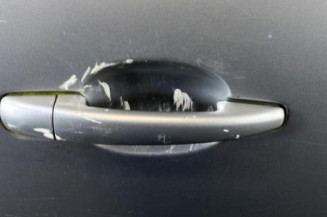 Porte arriere droit CITROEN C4 GRAND PICASSO 1