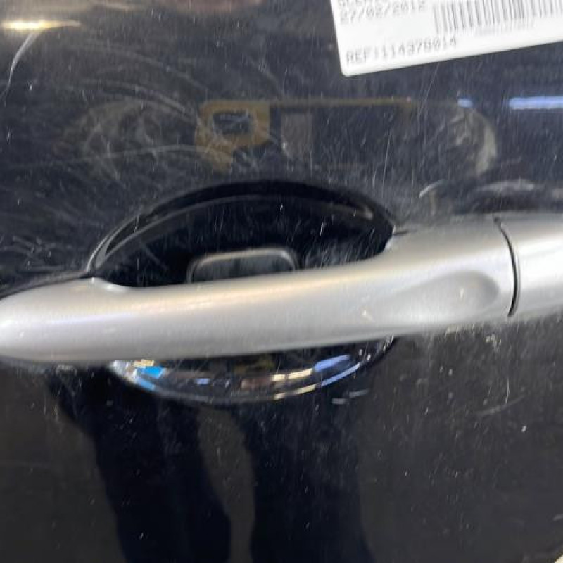 Porte arriere gauche RENAULT SCENIC 3 Photo n°2