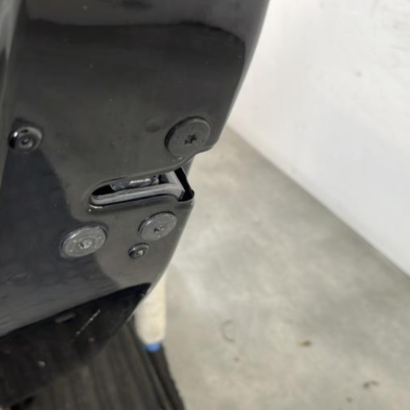 Porte arriere gauche RENAULT SCENIC 3 Photo n°3