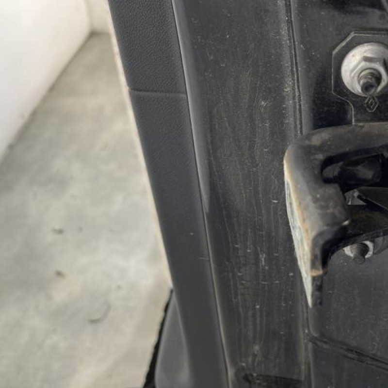 Porte arriere gauche RENAULT SCENIC 3 Photo n°4