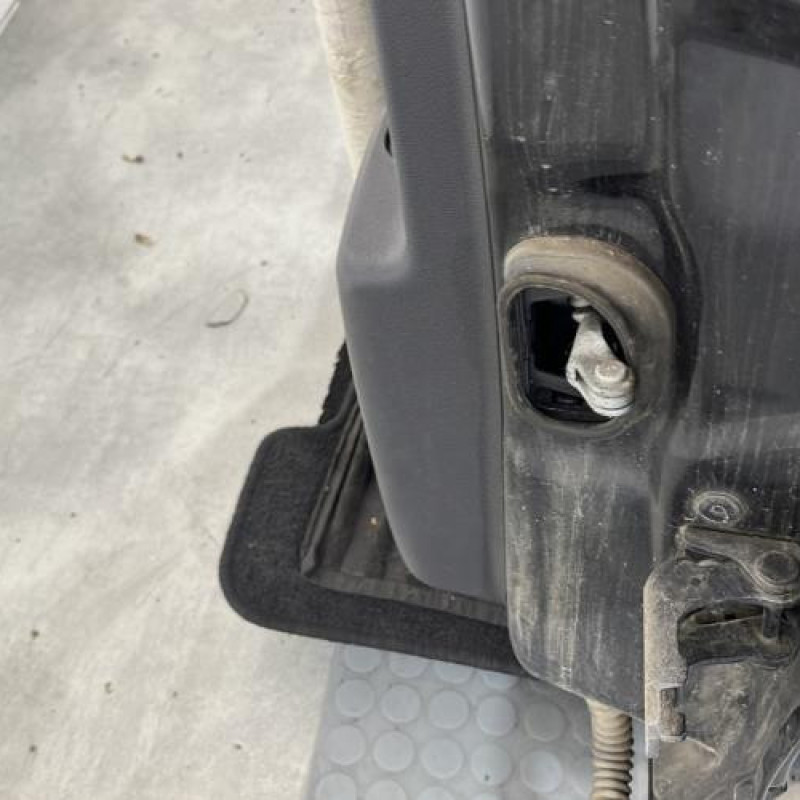 Porte arriere gauche RENAULT SCENIC 3 Photo n°5