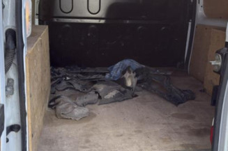 Feu arriere stop central RENAULT KANGOO 2