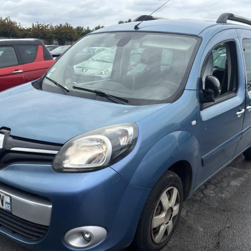 Eclairage de plaque RENAULT KANGOO 2 Photo n°13