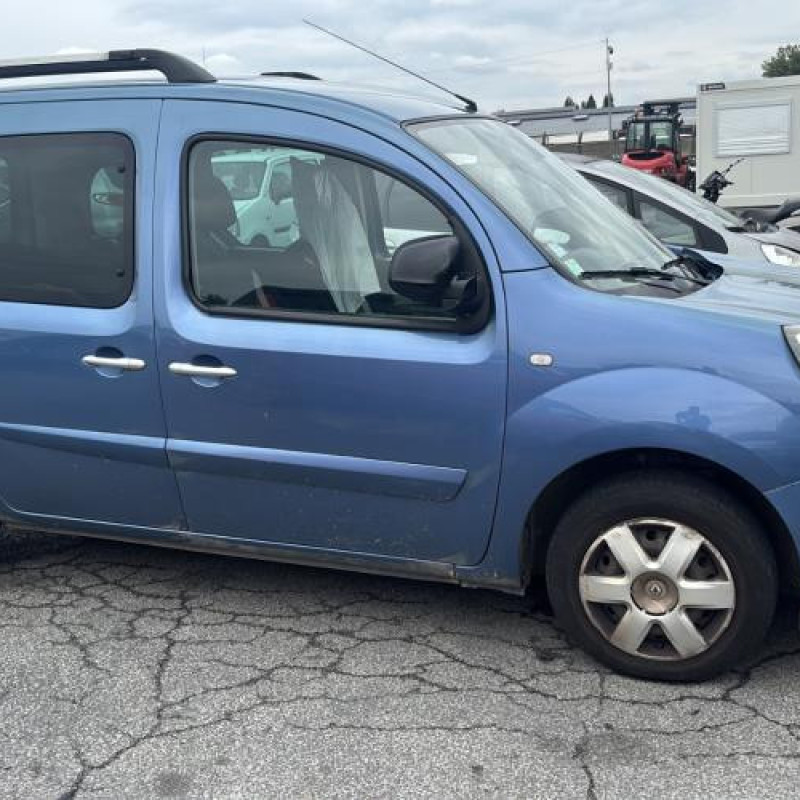 Eclairage de plaque RENAULT KANGOO 2 Photo n°19