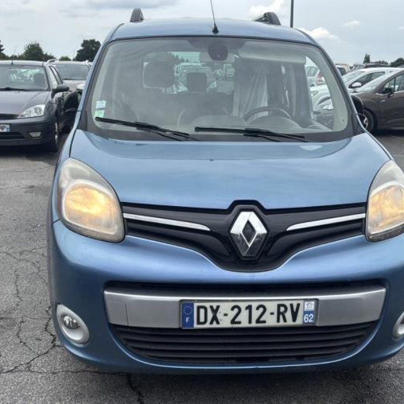 Eclairage de plaque RENAULT KANGOO 2 Photo n°20