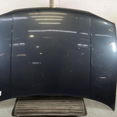 Capot VOLKSWAGEN GOLF 4 Photo n°1