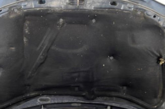 Capot VOLKSWAGEN GOLF 4