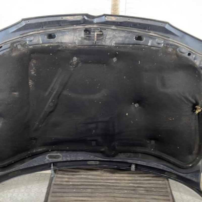 Capot VOLKSWAGEN GOLF 4 Photo n°7