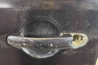 Porte avant gauche VOLKSWAGEN TOURAN 1