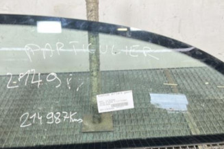 Custode arriere gauche SEAT IBIZA 3 Photo n°1