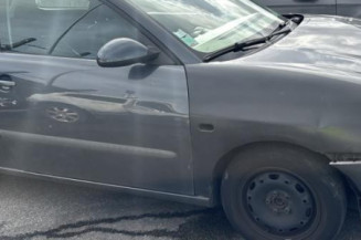 Custode arriere gauche SEAT IBIZA 3