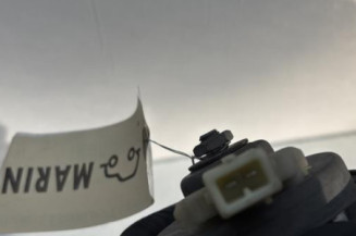 Avertisseur/Klaxon CITROEN BERLINGO 1