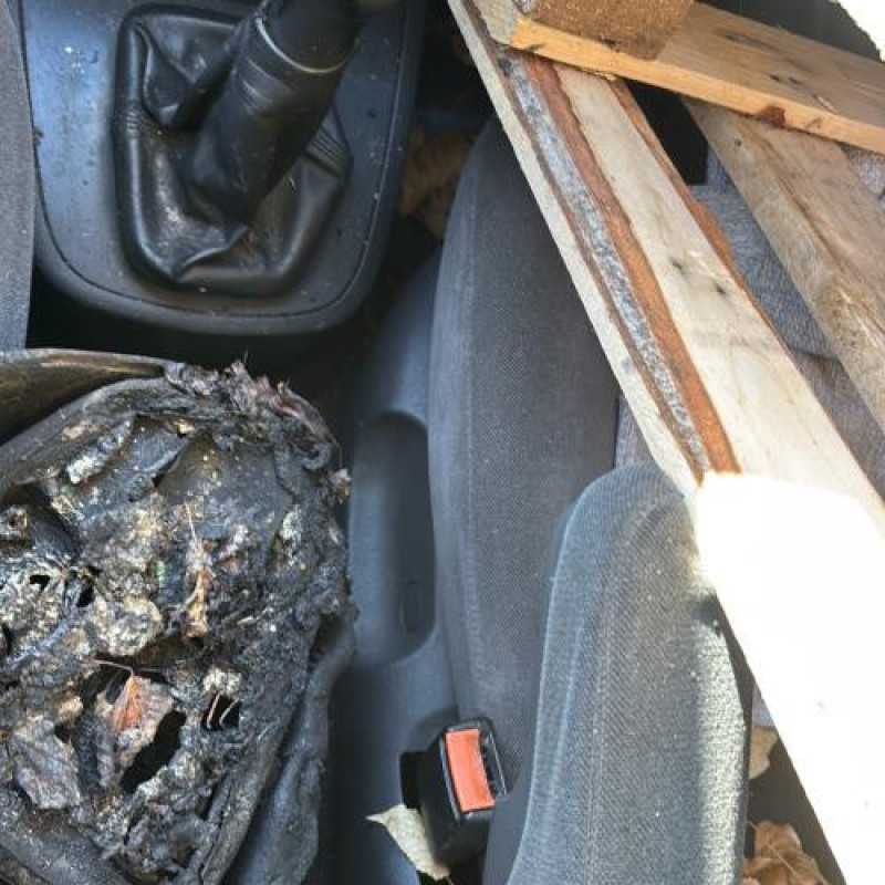 Feu arriere principal droit (feux) FORD GALAXY 1 Photo n°18