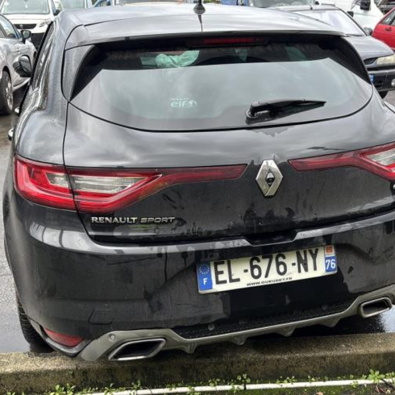 Vitre arriere droit RENAULT MEGANE 4 Photo n°17