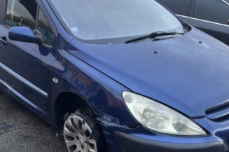 Vase de lave glace PEUGEOT 307