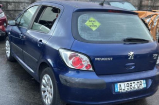 Vase de lave glace PEUGEOT 307