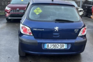 Vase de lave glace PEUGEOT 307