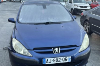 Vase de lave glace PEUGEOT 307