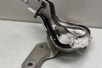 Charniere de capot RENAULT CLIO 3 Photo n°1