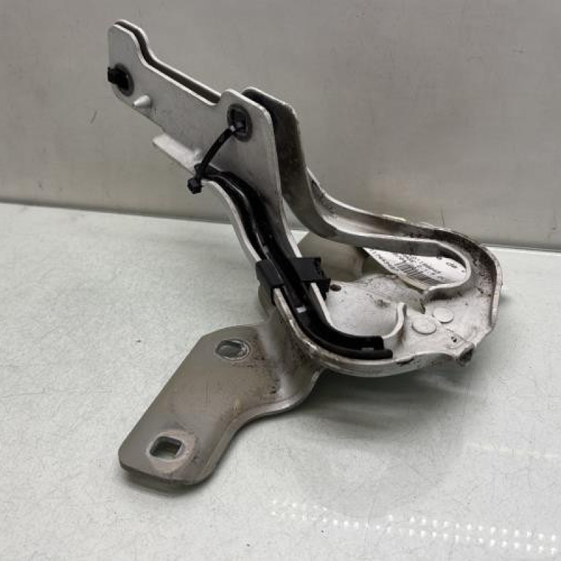 Charniere de capot RENAULT CLIO 3 Photo n°1