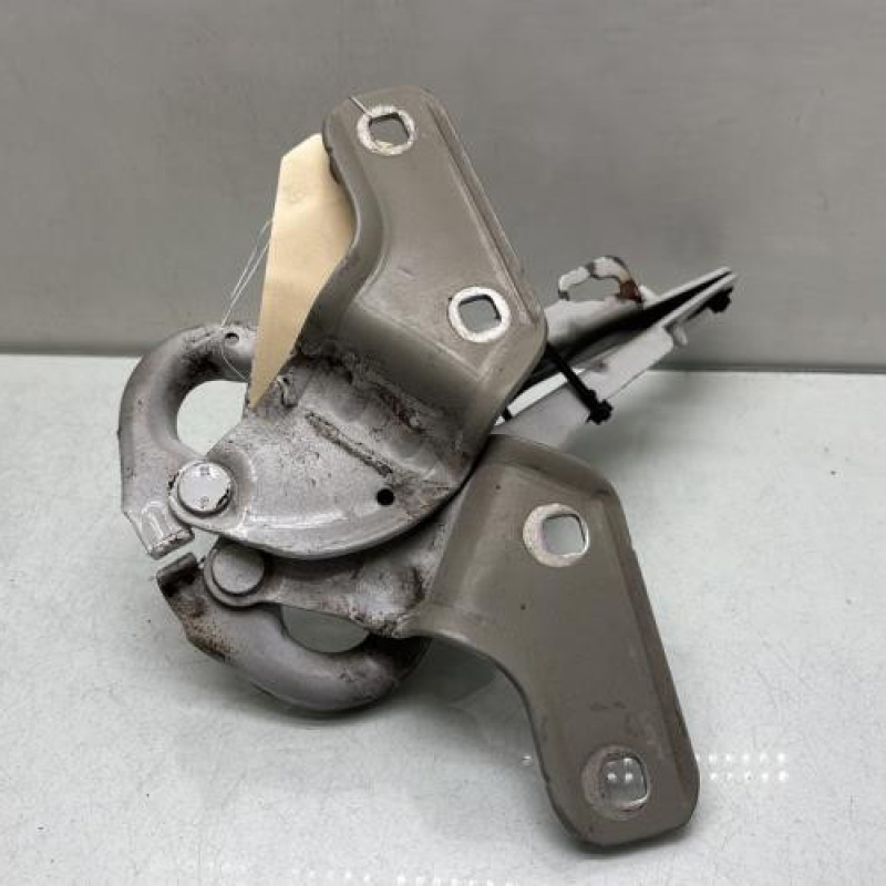 Charniere de capot RENAULT CLIO 3 Photo n°3