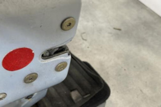 Porte avant gauche RENAULT CLIO 2