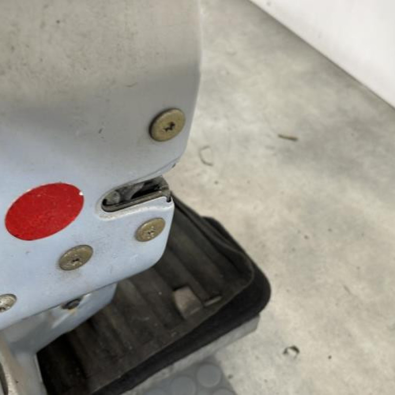 Porte avant gauche RENAULT CLIO 2 Photo n°3