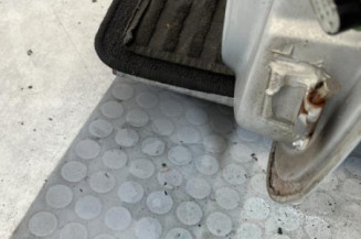 Porte avant gauche RENAULT CLIO 2