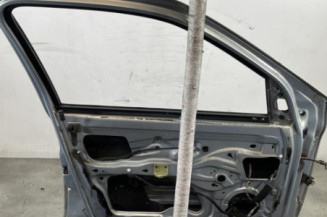 Porte avant gauche RENAULT CLIO 2