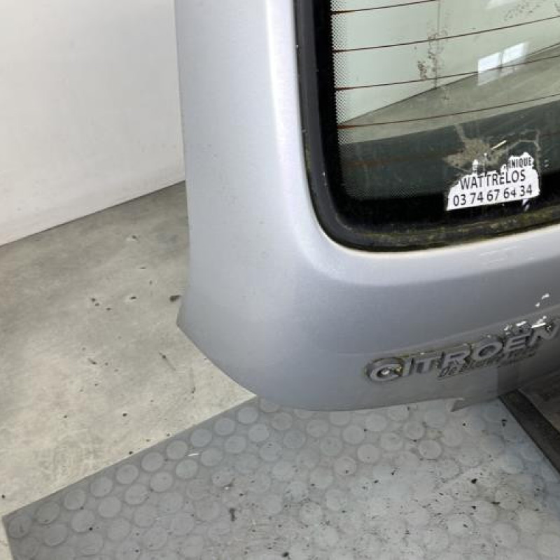 Malle/Hayon arriere CITROEN SAXO Photo n°6