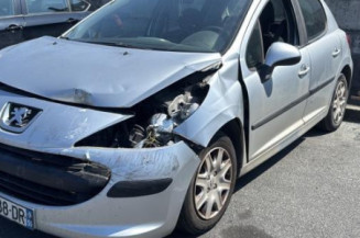 Porte arriere droit PEUGEOT 207