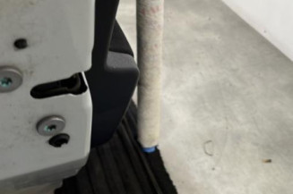 Porte arriere gauche PEUGEOT 207